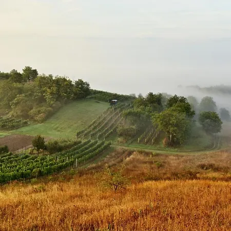 Vinný Sklep Vinoza V Moravském Toskánsku Casa vacanze